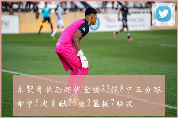 东契奇状态起伏全场23投8中三分球命中5次贡献25分2篮板7助攻